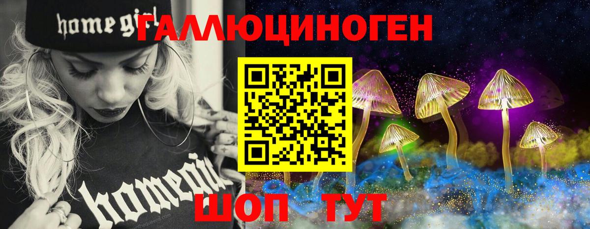 Псилоцибиновые грибы мицелий Элиста